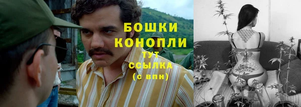 эйфоретик Янаул
