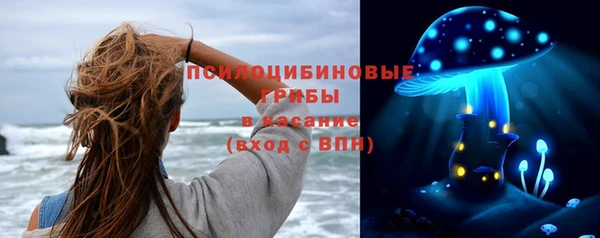 ПСИЛОЦИБИНОВЫЕ ГРИБЫ Яранск