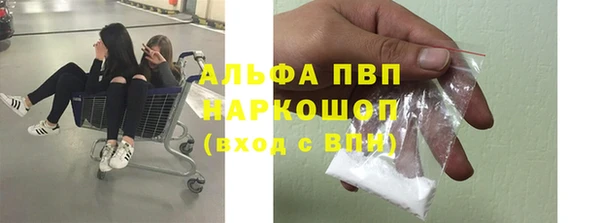 эйфоретик Янаул
