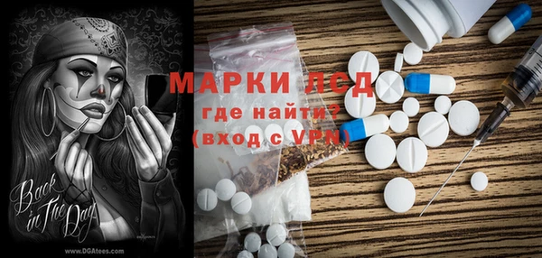 ПСИЛОЦИБИНОВЫЕ ГРИБЫ Яранск