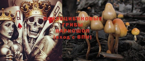 ПСИЛОЦИБИНОВЫЕ ГРИБЫ Яранск