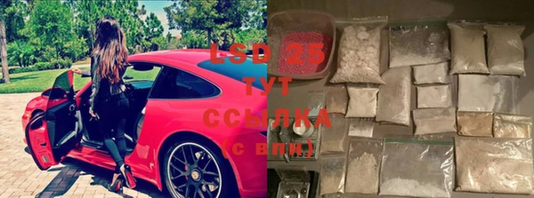 эйфоретик Янаул