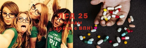 эйфоретик Янаул