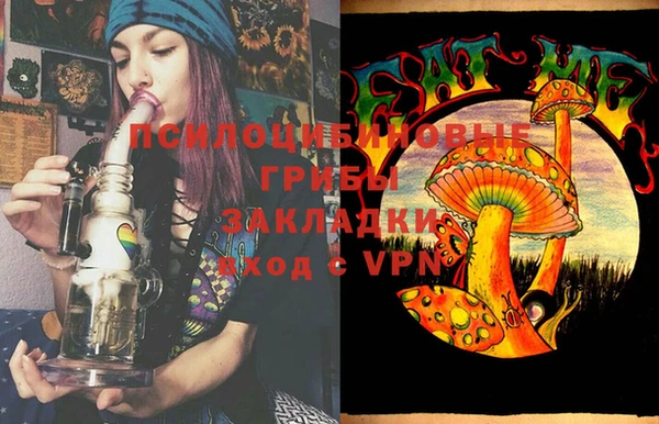 эйфоретик Янаул