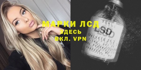 ПСИЛОЦИБИНОВЫЕ ГРИБЫ Яранск